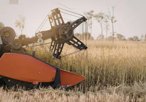 Agriculture